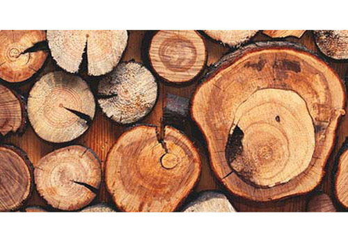 تفاوت چوب راش با گردو 